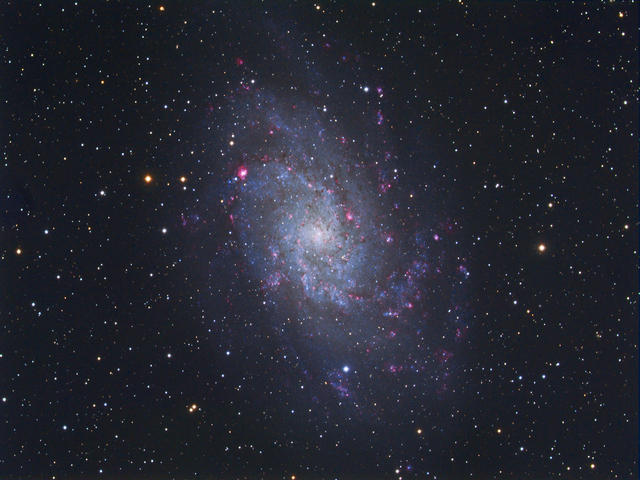 M33