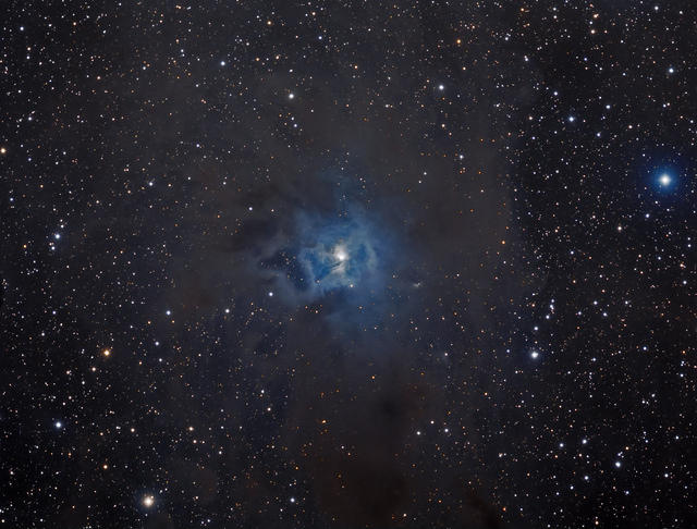 IRIS NEBULA