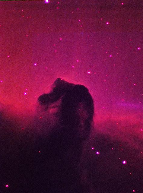 Horse Nebula 2 Qhy10 C14HD