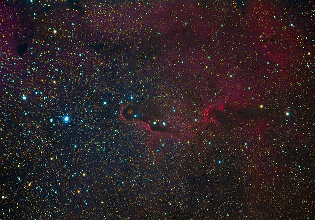 IC 1396A Gian