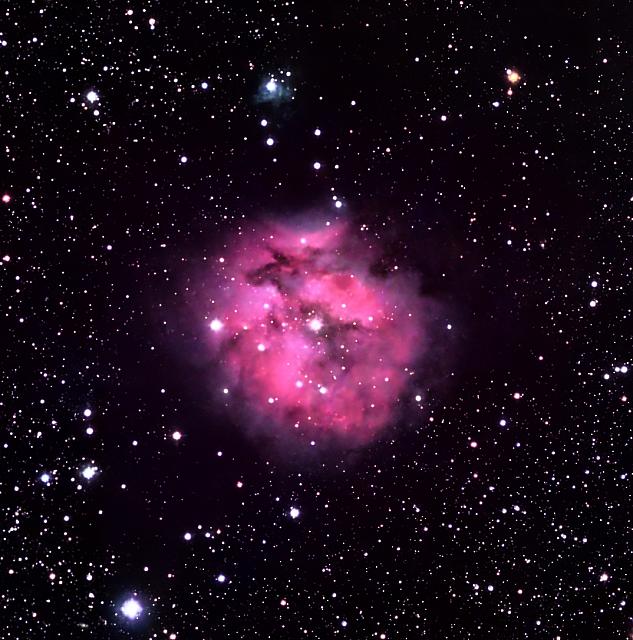 Ic 5146 crop