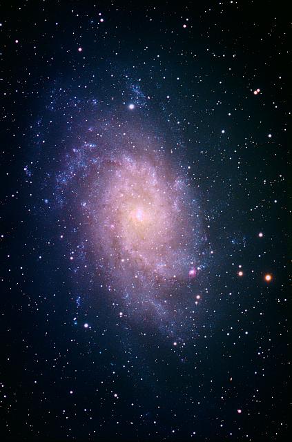 M 33