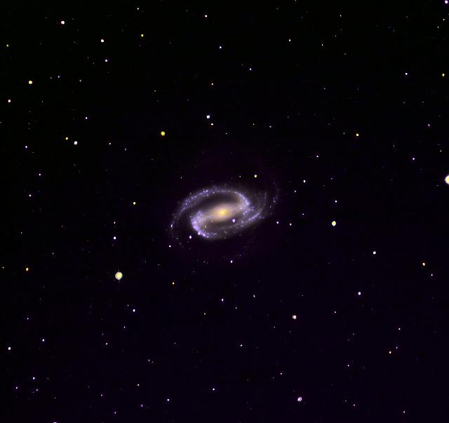 NGC 1300