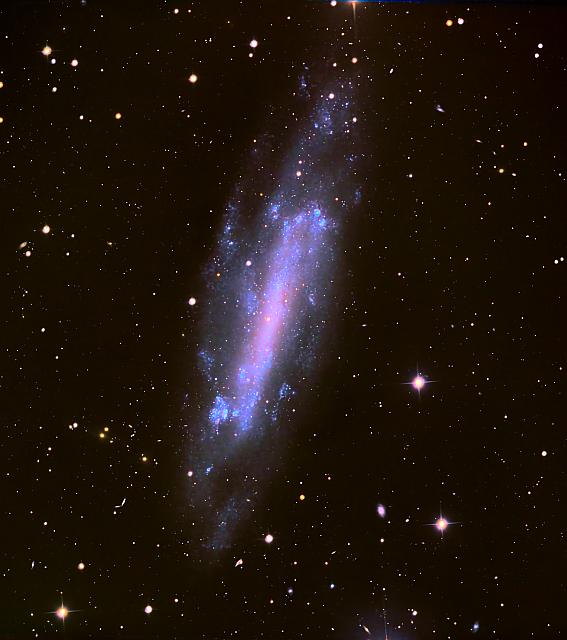 NGC 4236 Fin Pix