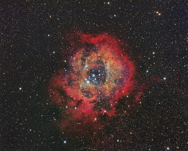 Rosetta nebula