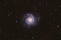 Galassia M 74