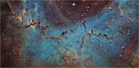 The Rosette Nebula Complex: the "dust belt"