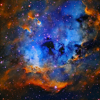 IC 410