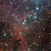 VdB 142: The Elephant Trunk Nebula in IC 1396