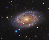 M81-Spiral Galaxy - Ursa Major