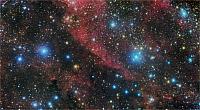 Southern Edge of  IC 1318: a detail of a variegated nebular complex and a rich star field