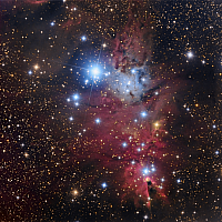 NGC2264: Open cluster, Cone and Fox-Fur Nebulae in Monoceros