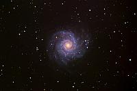 M 74