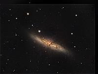 M 82-2