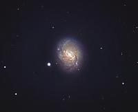 M77