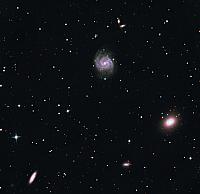 NGC 1052 