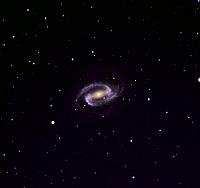 NGC 1300