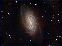 NGC 2903 Fin