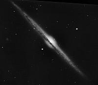 NGC 4565 Meade LX200R 40cm e Sbig 11000 L4x600 no guida