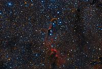 Vdb-142-Trunk-Nebula
