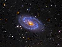 m-81 Spiral Galaxy