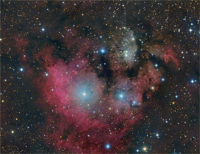 NGC 7822: complex of dust and gas nebulae in Cepheus - wide field
