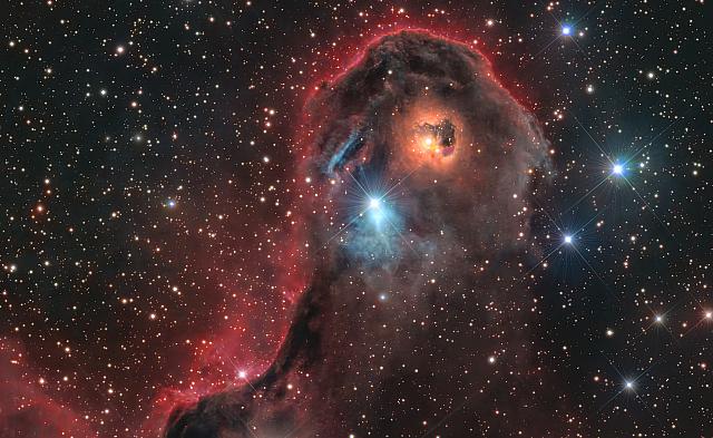 VDB142 close up_CROP2