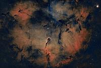 Elephant Trunk Nebula
