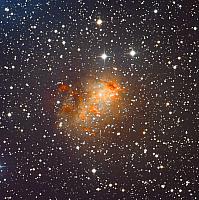 IC 10 fin crop