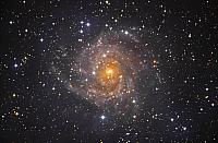 IC 342 , la "Galassia Nascosta"
