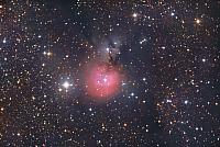Sh2-82 Nebulosa Piccola Cocoon