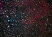 IC 1396A Gian
