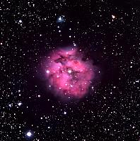 Ic 5146 crop