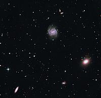 NGC 1052