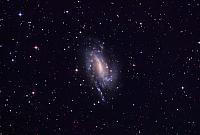 NGC 925