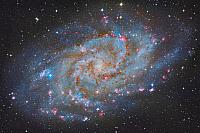 M33