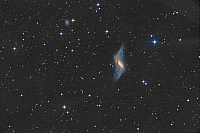 NGC 660 - Ring galaxy in Pisces