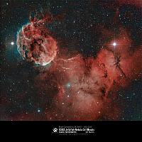 Adara IC443 2x1 MosaicSpikes